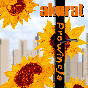 Prowincja cover