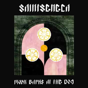 Saintseneca - Moon Barks At The Dog Lyrics - Zortam Music