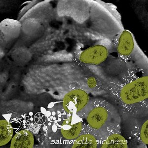 Salmonella Sickness