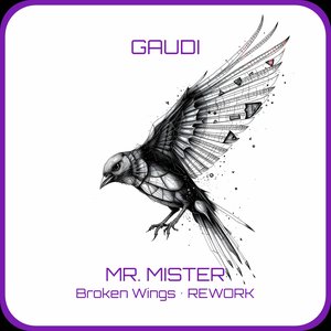 Broken Wings (Gaudi Rework)