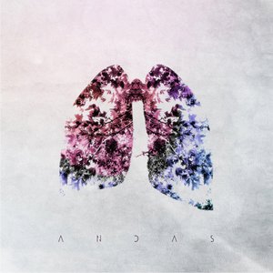 Andas