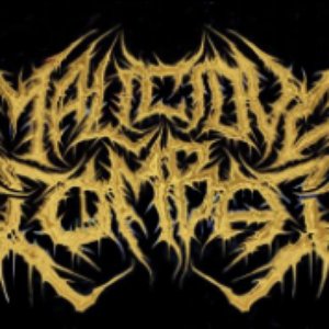 Malicious Combat 的头像