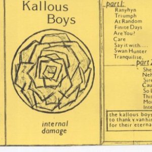 Internal Damage