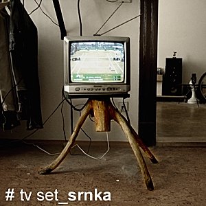 mixed media work  # TV set_srnka