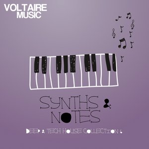 Synths and Notes, Vol. 6