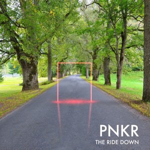 The Ride Down