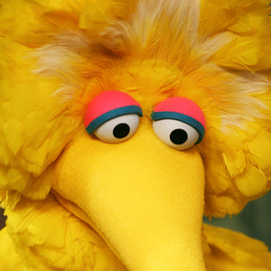Big Bird photo provided by Last.fm