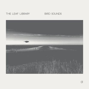 Bird Sounds