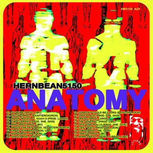 Anatomy