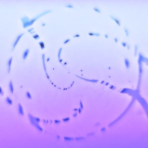 Whisper
