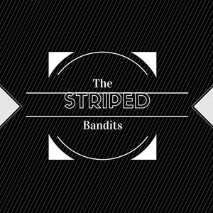 The Striped Bandits 的头像