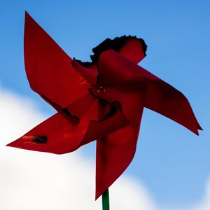 El Museo de los Niños Muertos