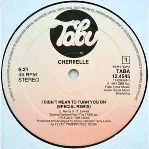 I Didn't Mean To Turn You On (Special Remix)