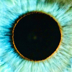 Shai-Hulud - Single