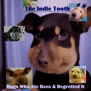 Dogs Who Ate Bees & Regretted It