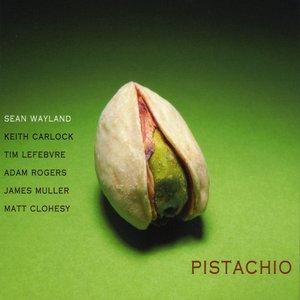 Pistachio (feat. Keith Carlock, James Muller, Adam Rogers, Tim Lefebvre)