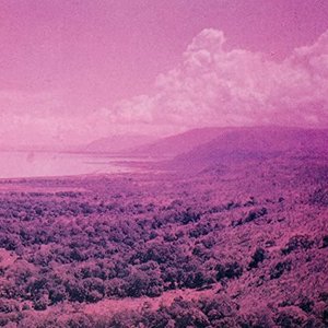 Echo Island 的头像