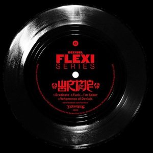 Decibel Flexi Series