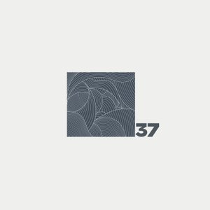 square37 的头像