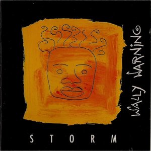 Storm Digital Release 2011
