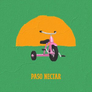 Paso Néctar