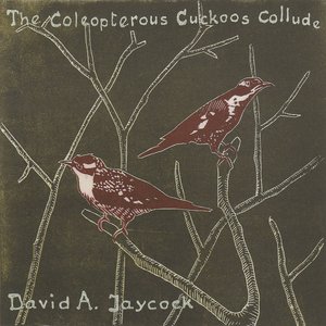 The Coleopterous Cuckoos Collude