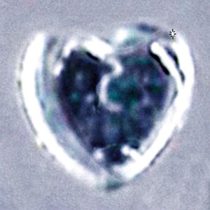 Always Hardening - Single