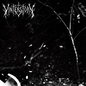 Vinterstorn