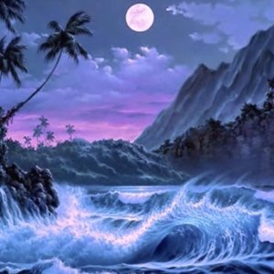バミューダ b e r m u d a 的头像