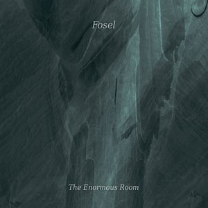 the enormous room