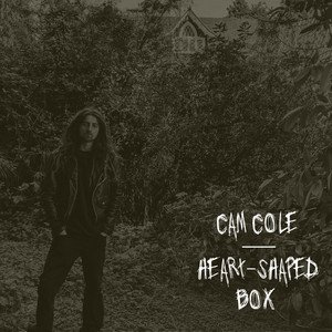 Heart-Shaped Box