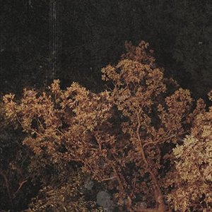 Who Gets the Last Laugh on Doomsday? [Explicit]