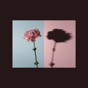 Mitä mä siinä voitan - Single
