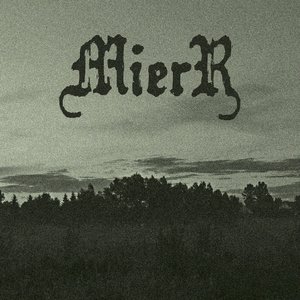 Mierr 的头像