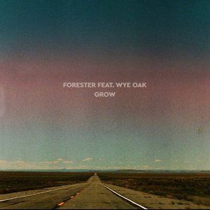 Grow (feat. Wye Oak) - Single