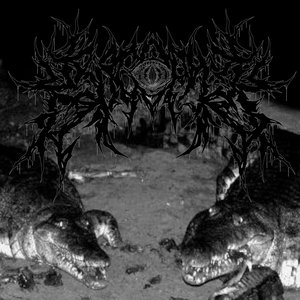 Krocophile