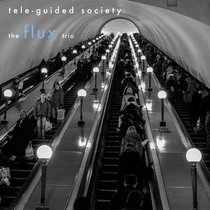 Tele-Guided Society