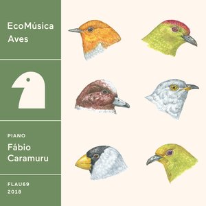 EcoMúsica  Aves