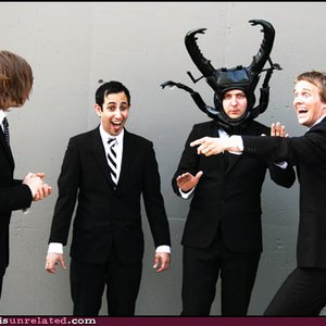 Dungbeetle 的头像