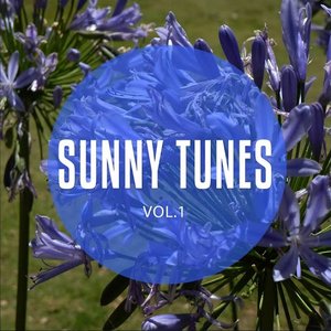 Sunny Tunes, Vol. 1 (Sunny Chill, Relax & Dance Beats)