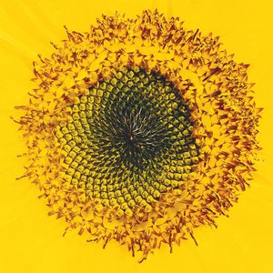 Principles Of Inertia