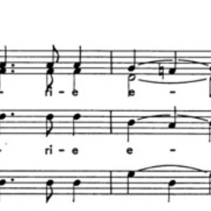 C. Crassini 的头像