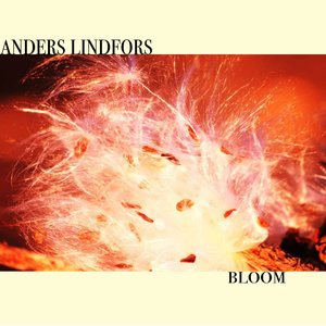 Anders Lindfors 的头像