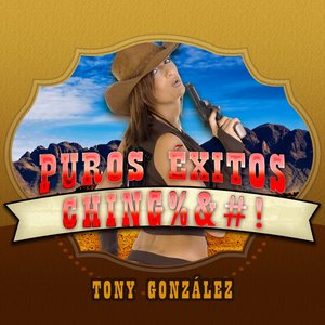 Puros Éxitos Ching#&%!, Vol. 2