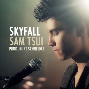 Skyfall - Single