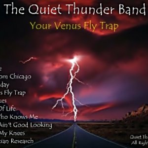 Your Venus Fly Trap