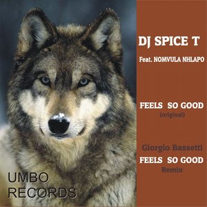 Feels So Good (feat. Nomvula Nhlapo)
