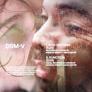 Into Nothing / Function - Single