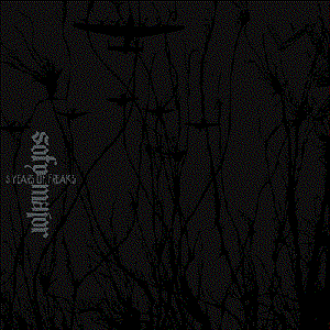 5 Years Of Freaks