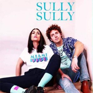 Sully Sully 的头像